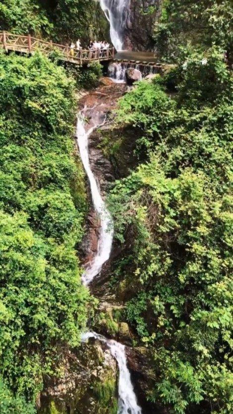 植物大战僵尸17